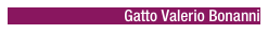 Gatto Valerio Bonanni