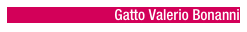 Gatto Valerio Bonanni